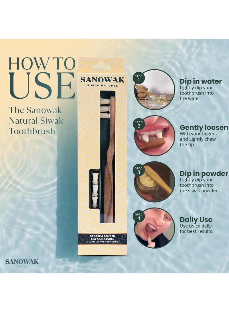Sanowak Miswak Siwak Toothbrush – 100% Natural Eco-Friendly Miswak Teeth Whitening Kit with 3 Extra Spare Brush Miswak Heads for Fresh Breath, Healthy Gums & Deep Oral Care - Image 2